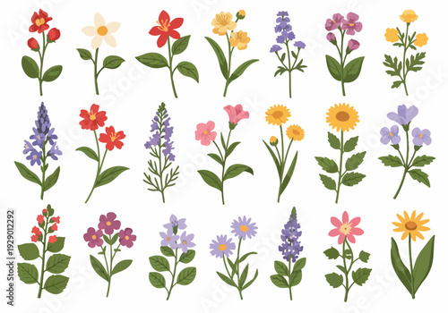 A collection of colorful flowers and plants illustrated in a vibrant floral arrangement from a direct viewpoint.