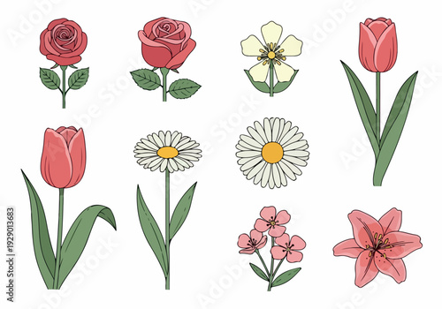 Assorted flowers including roses and tulips in various colors illustrated in a simple graphic style