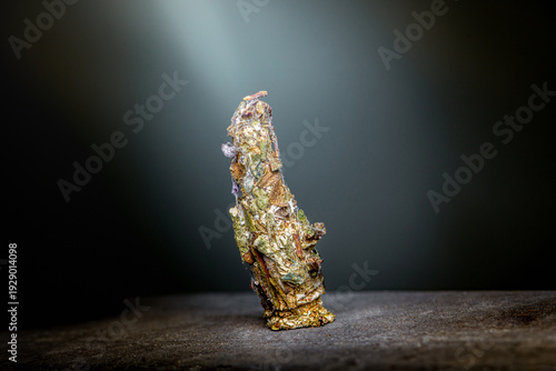 Caddisfly larva cocoon on dark slate
