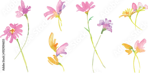 水彩画。水彩タッチの春のピンクと黄色の花イラスト。水彩のベクター植物フレーム。