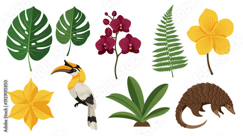 A vibrant collection of exotic tropical flora and fauna, including lush green leaves, colorful orchids, a majestic hornbill, and a unique pangolin, perfect for illustrating diverse ecosystems.