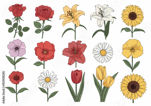 Collection of assorted flowers including roses, lilies, sunflowers, tulips, daisies, and anemones, depicted in a colorful illustration