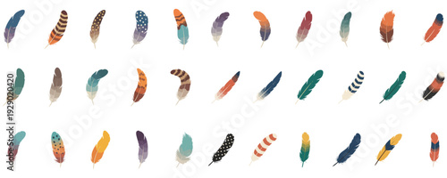Collection Colorful Bird Feather