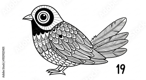 Detailed illustration of a quail with intricate feather patterns