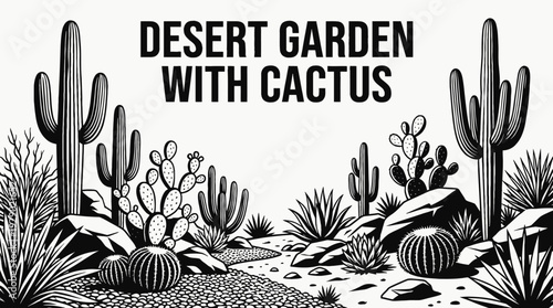 desert garden with cactus plants representing dry climate landscaping and sustainable outdoor design