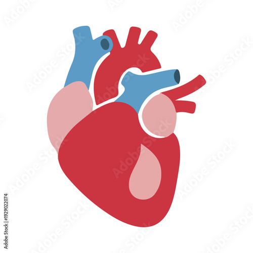 Stylized Human Heart Icon