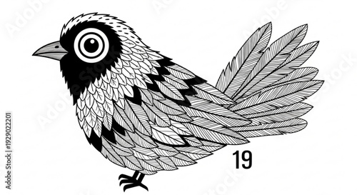 Detailed illustration of a small bird with unique feather patterns