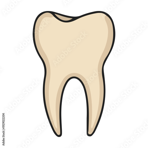Cartoon Molar Tooth Illustration