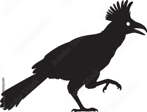  Great Crested Grebe in walking.