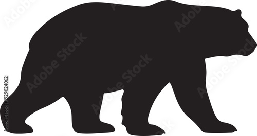 Polar Bear in silhouette on white background.