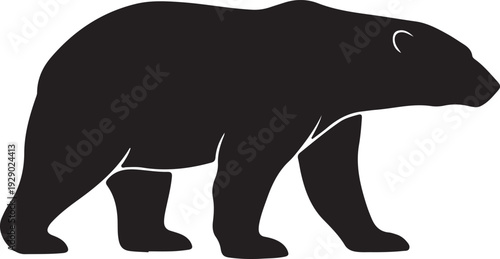 Polar Bear in silhouette walking.