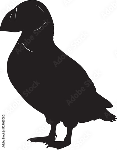 Puffin in silhouette on white background..