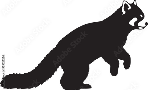 Red Panda in silhouette on white background.