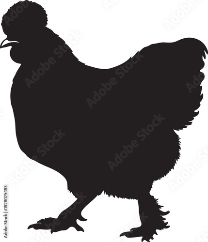 Silkie Chicken in silhouette on white background.