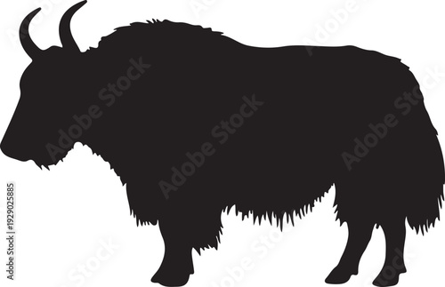 Yak in silhouette in vector..