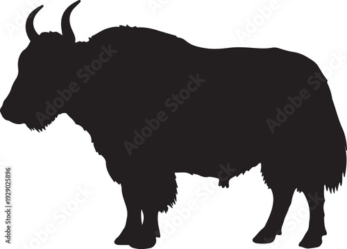 Yak in silhouette on white background.