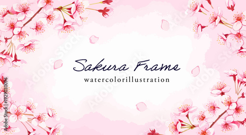 桜の水彩フレーム背景｜淡いピンクのさくらと舞い散る花びらの春デザイン素材、入学・卒業・新生活・ブライダル向けボタニカルイラスト
