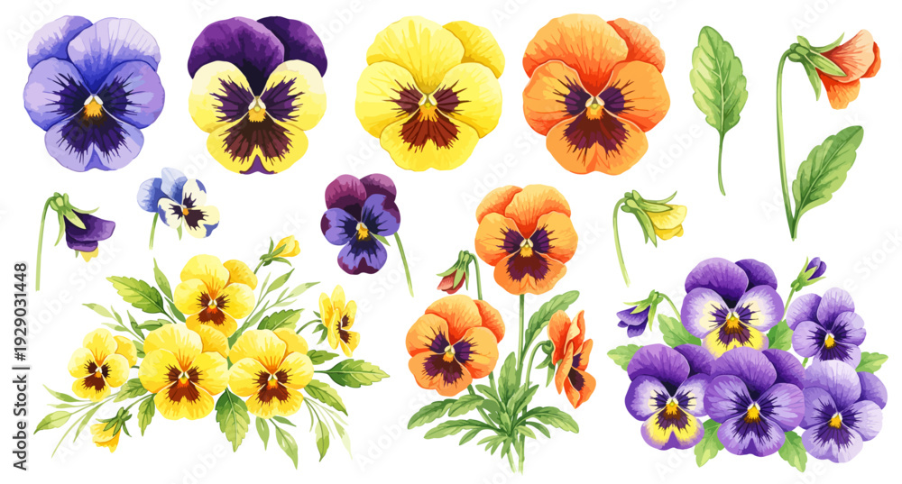 Photography Poster パンジーのイラストパーツセット（花束・単体・蕾