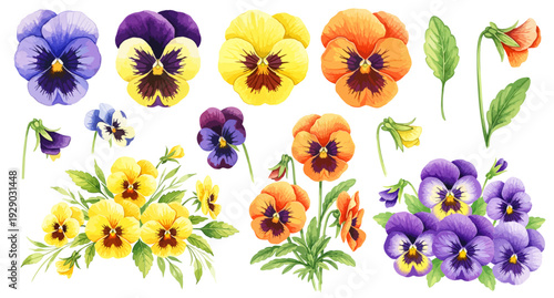 パンジーのイラストパーツセット（花束・単体・蕾・花びら・麻紐）,春の花,ビオラ,三色菫,水彩風
