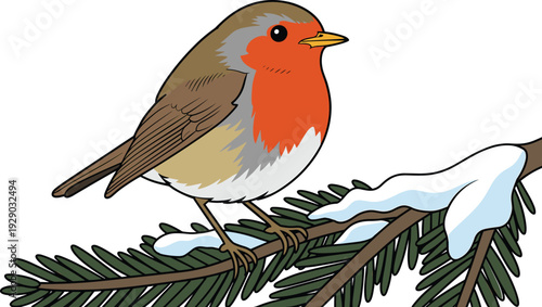 European Robin Perched on Snowy Evergreen Branch, Concept of Winter Wildlife, Seasonal Nature, Festive Resilience, and Ornithological Beauty Vector Illustration