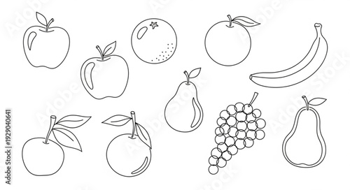 Collection of Hand Drawn Fruits Illustration.