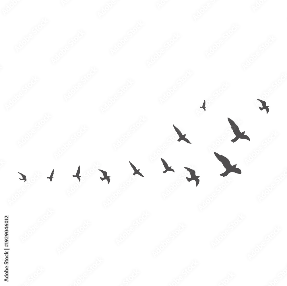 Obraz premium Flock of Birds Flying Silhouette