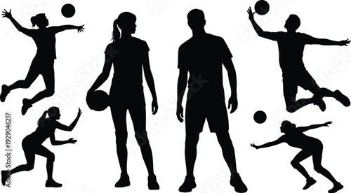 Silhouette volleyball players in action, men and women jumping serving and spiking, isolated black figures on white background