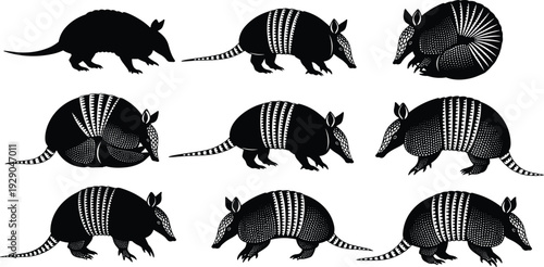 Armadillo Silhouette Set Featuring Various Poses and Detailed Patterns Ideal for Wildlife Education Nature Graphics and Southwest Themed Vector Designs