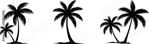 Black palm tree silhouettes isolated on white background tropical island vector illustration minimal nature design summer beach symbol coastal graphic