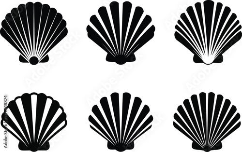 a graphic arrangement displays six black and white scallop shells in varying orientations showcasing their ribbed and fan like structures