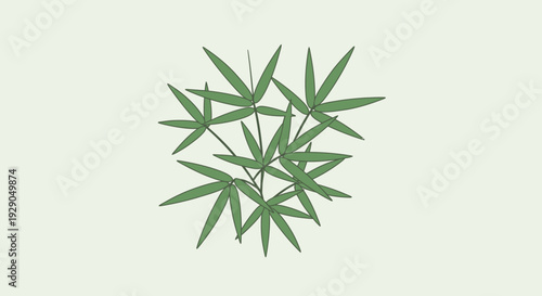 Green leafy plant with long leaves.