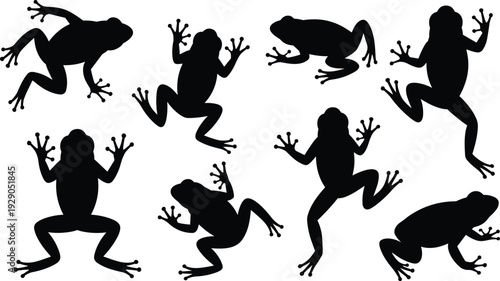 Black frog silhouettes set, jumping tree frogs poses, amphibian animal shapes collection, wildlife nature vector illustration isolated white background