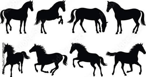 Black horse silhouette set, running galloping standing grazing poses, equine animal vector illustration isolated on white background