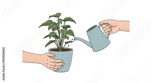 Hands watering a houseplant. Minimalist flat design vector illustration. Plant care and indoor gardening concept. Isolated on white background