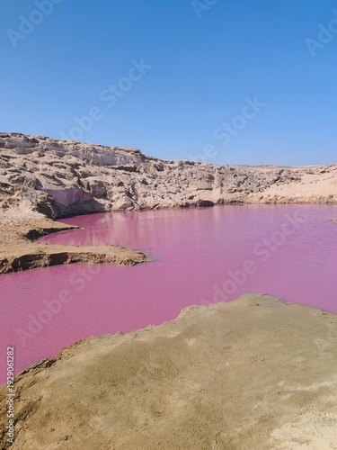 Canvastavla Pink lake on Dead sea, Jordan