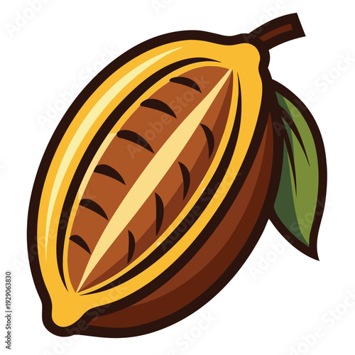 Freshly harvested cacao pod split open revealing raw cocoa beans for chocolate production