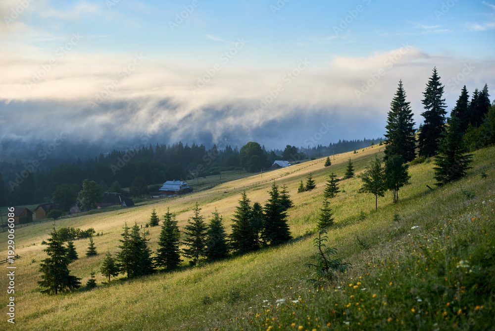 Obraz premium Misty morning in mountain valley. Layers of fog drift through lush green forests, creating serene and mystical atmosphere. Distant hills and peaks rise majestically under clear blue sky.