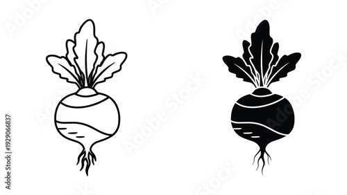 Beetroot illustration in black and white