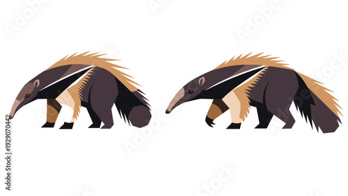 Detailed illustration of two giant anteaters walking side by side showing their distinctive long snouts, striped fur, and bushy tails.