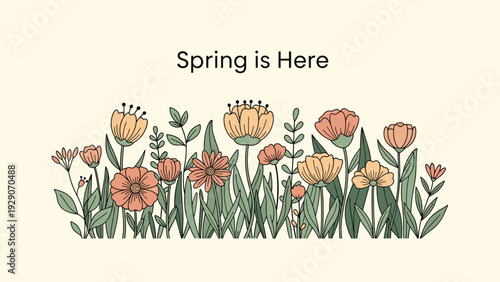 Cheerful spring garden illustration with the text spring is here above a diverse row of blooming flowers and green leaves on cream.