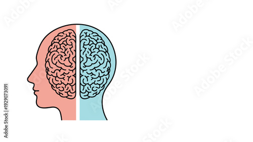 Anatomical illustration of a human head in profile showing the brain divided into two hemispheres with pink and blue color coding.