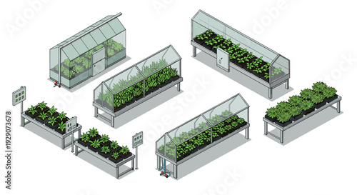 isometric set of small greenhouse plant growing tables with glass covers and control panels in vector style
