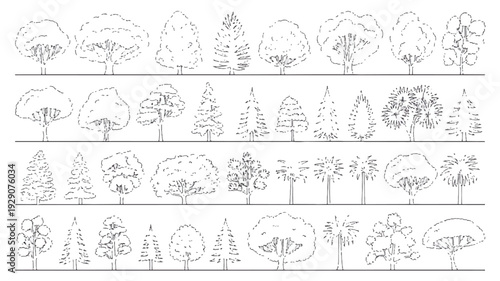 A collection of various tree silhouettes in different shapes and sizes on white background
