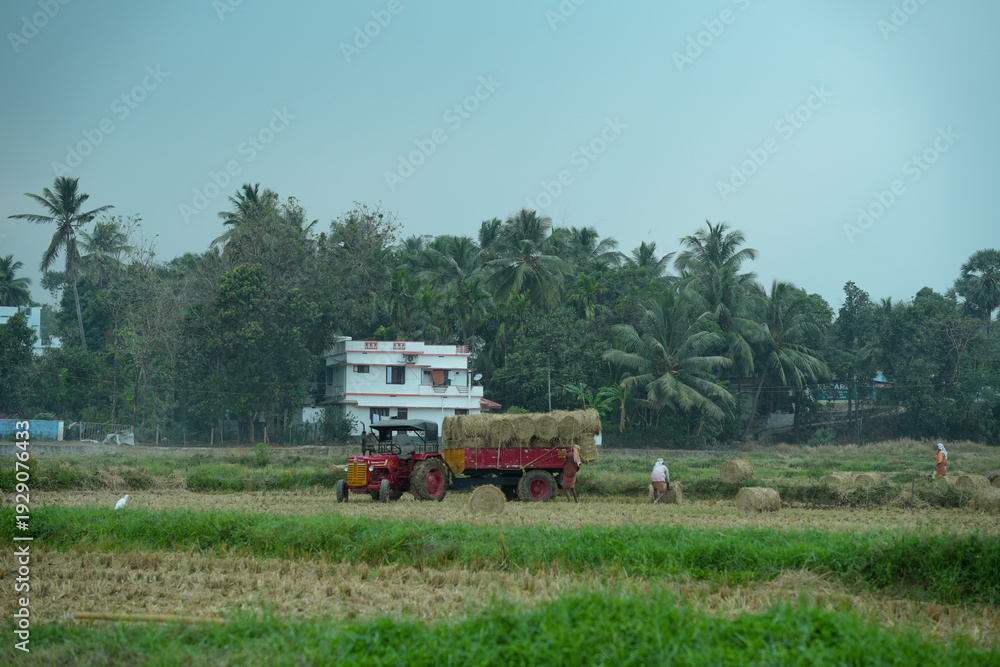 Fototapeta premium tractor in field