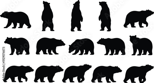 Fifteen black bear silhouettes in diverse poses including standing, walking, and looking, arranged in three rows, isolated on white background for wildlife, nature, and design projects