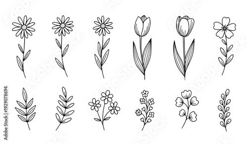 set of flowers Hand Drawn Doodle Flowers and Leaves Minimalist Botanical Line Art Icon Set Vector