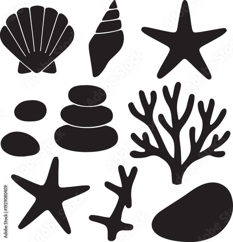 Black silhouettes of various marine life and seashells on white