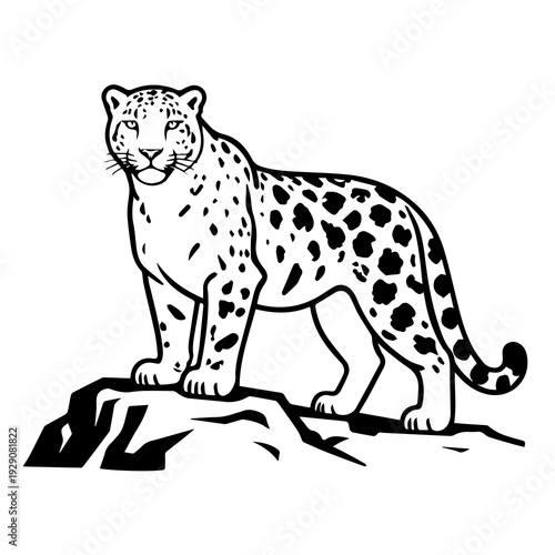 International Day of the Snow Leopard