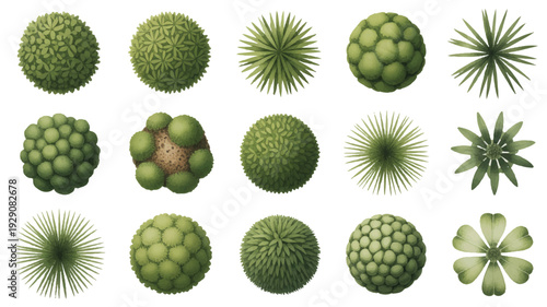 Collection of green virus or cell structures with various textures and shapes