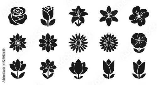 A collection of intricate and diverse snowflake designs showcasing nature's unique patterns